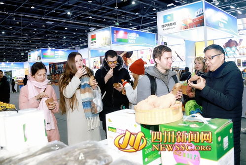 第二屆遂寧進(jìn)出口商品交易會暨2024年“蜀里安逸”遂寧迎春購物月啟動，日用百貨點(diǎn)亮消費(fèi)新熱潮